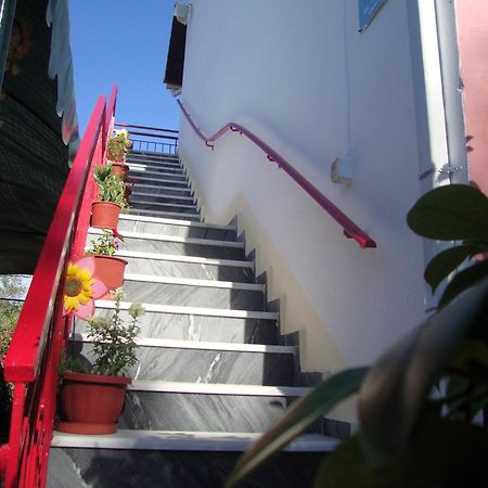 Tasia Studios Περιβόλι Εξωτερικό φωτογραφία