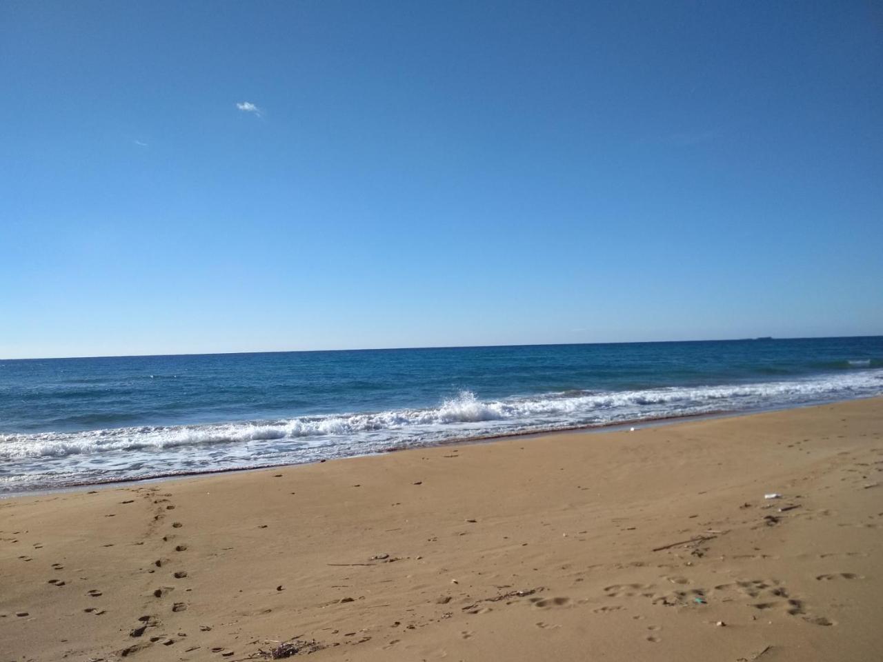 Tasia Studios Περιβόλι Εξωτερικό φωτογραφία